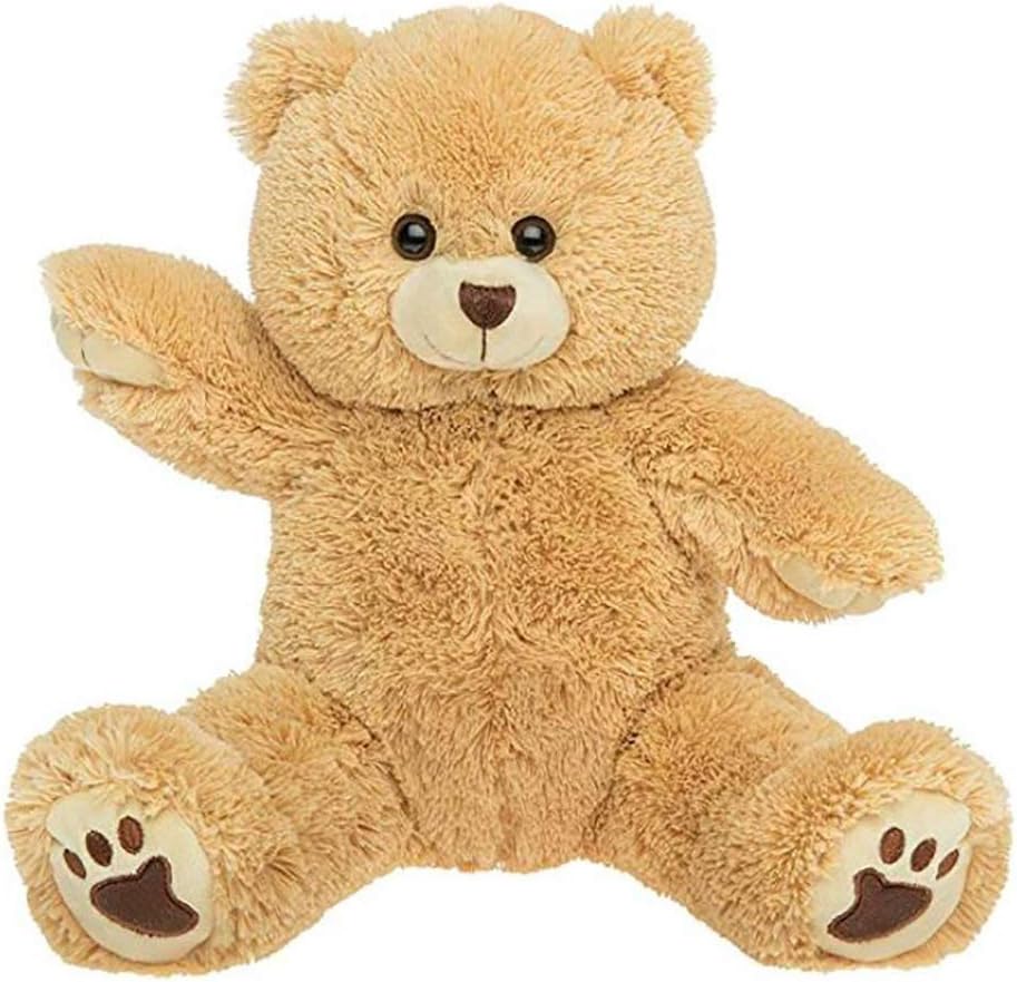 Graba tu propio oso marrón de peluche de 8 pulgadas – Listo 2 amor en unos pocos pasos fáciles