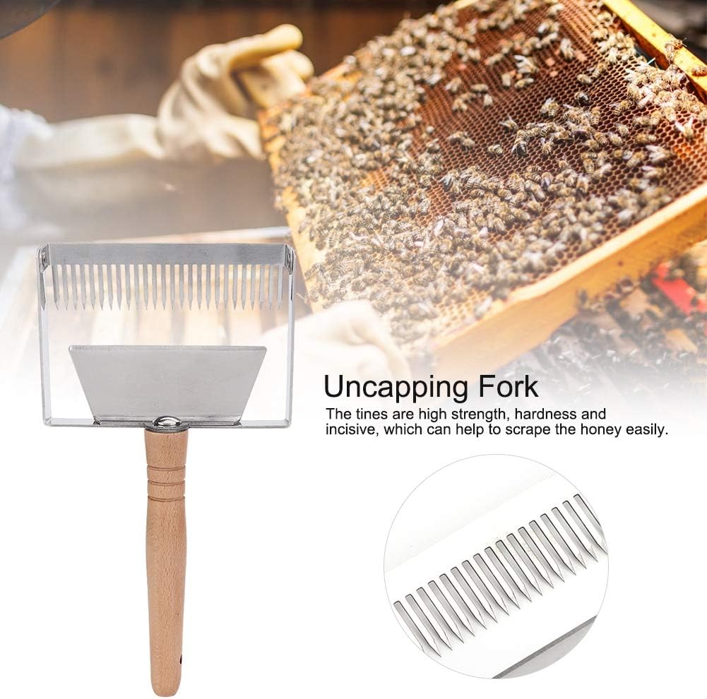 TOPINCN Wide Uncapping Fork, Stainless Steel Beehive Scraper, Ergonomic Wood Handle, Less Wastage and Mess, Beekeeping Apicultural Equipment Tool