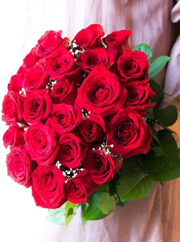 From You Flowers – Dos docenas de rosas rojas de tallo largo con jarrón de vidrio (flores frescas), cumpleaños, aniversario, recuperarse,