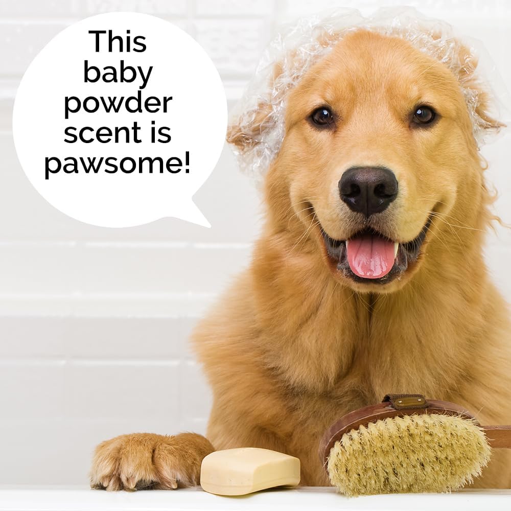 Champú hidratante para perros 6 en 1, fabricado con ingredientes derivados naturalmente para limpiar, calmar, desodorizar y suavizar la piel y el