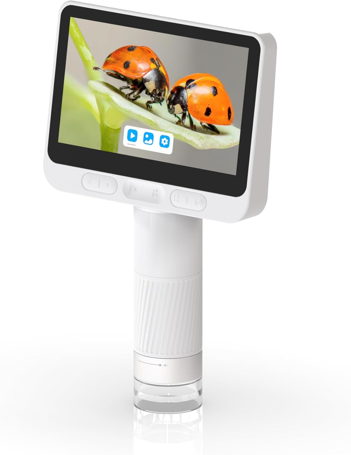 BEAVERLAB Microscopio digital con pantalla IPS 1080P de 4.3 pulgadas, ligero y portátil, aumento de 1600x para niños y adultos, exploración de la