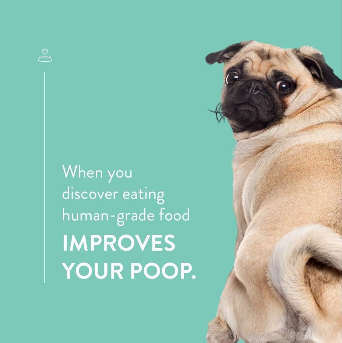 CRAFTED BY HUMANS LOVED BY DOGS Portland Pet Food Company – Golosinas para perros con caldo de carne (1 paquete, bolsa de 5 onzas), totalmente