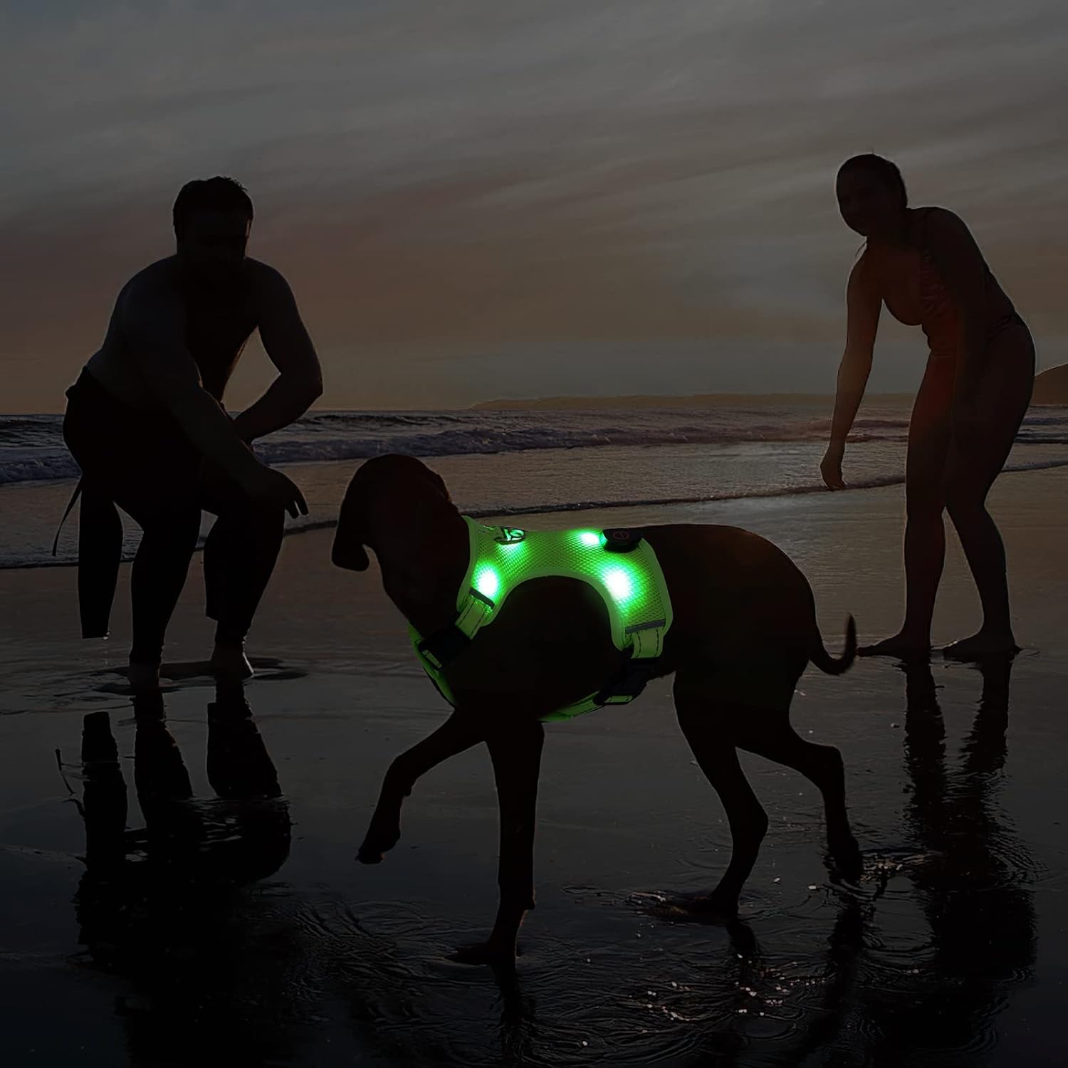 AMIR – Arnés LED para perro, pequeño, sin tirones, sin estrangulamiento, recargable por USB, 3 modos de iluminación, ajustable, transpirable, malla