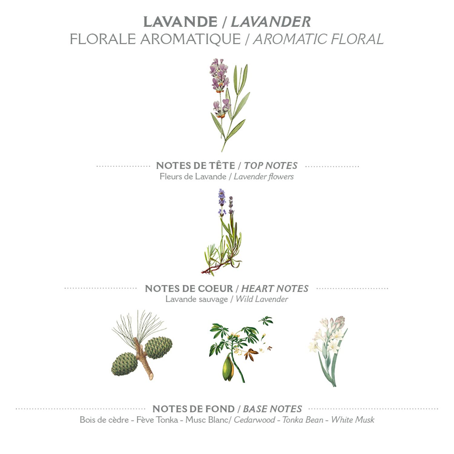 Panier des Sens Repuesto de jabón líquido de manos de lavanda, jabón líquido de Marsella – Hecho en Francia 97% natural – 2 x 16.9 Floz16.9 fl oz