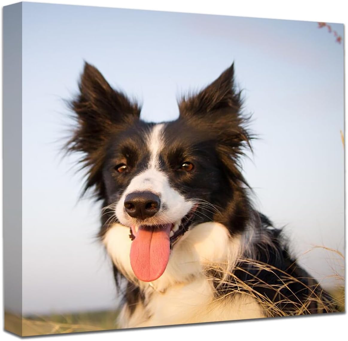 Impresiones en lienzo personalizadas con tus fotos enmarcadas, impresiones de fotos de Tienda, imágenes personalizadas, arte de pared en lienzo para