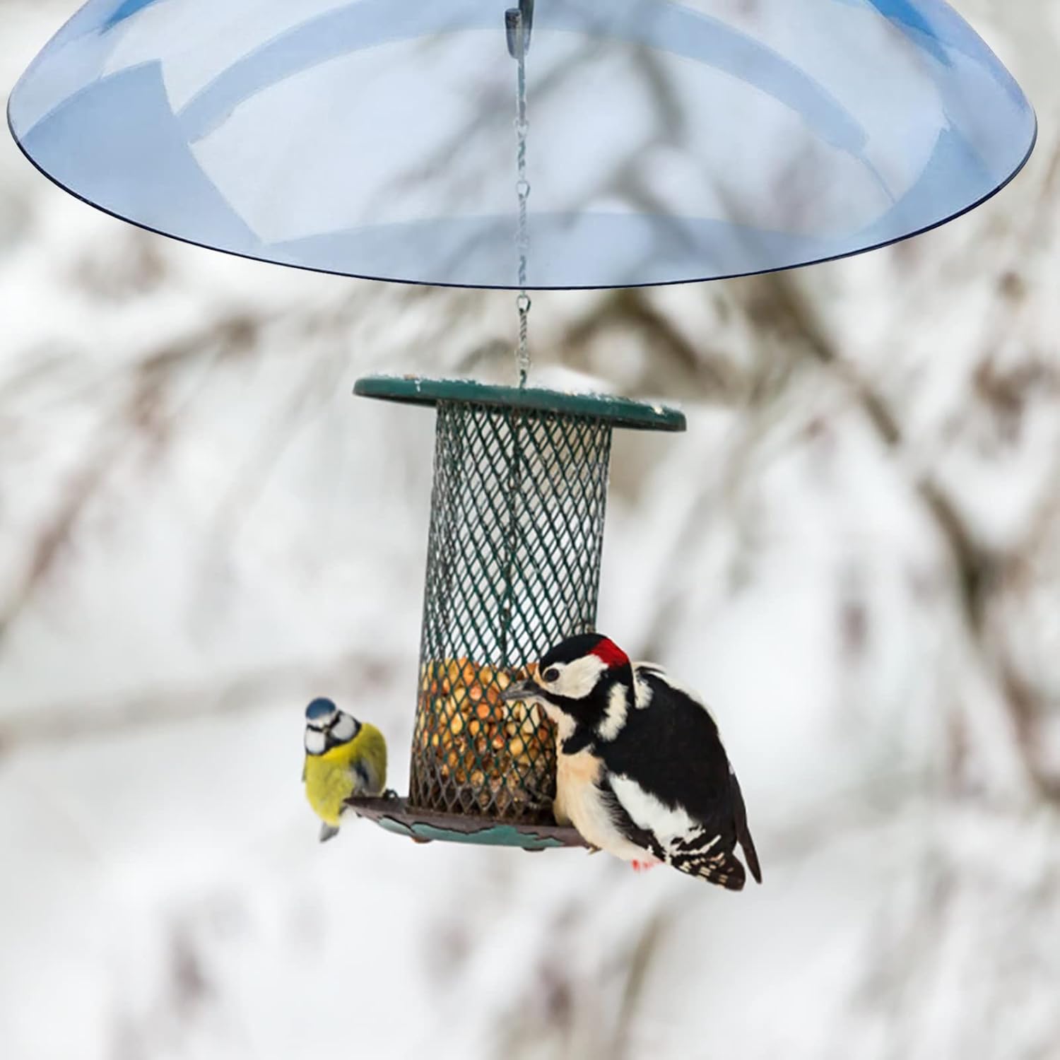 Baffle para comedero de pájaros, comederos para pájaros a prueba de ardillas para exteriores, cubierta de lluvia para comederos de pájaros para