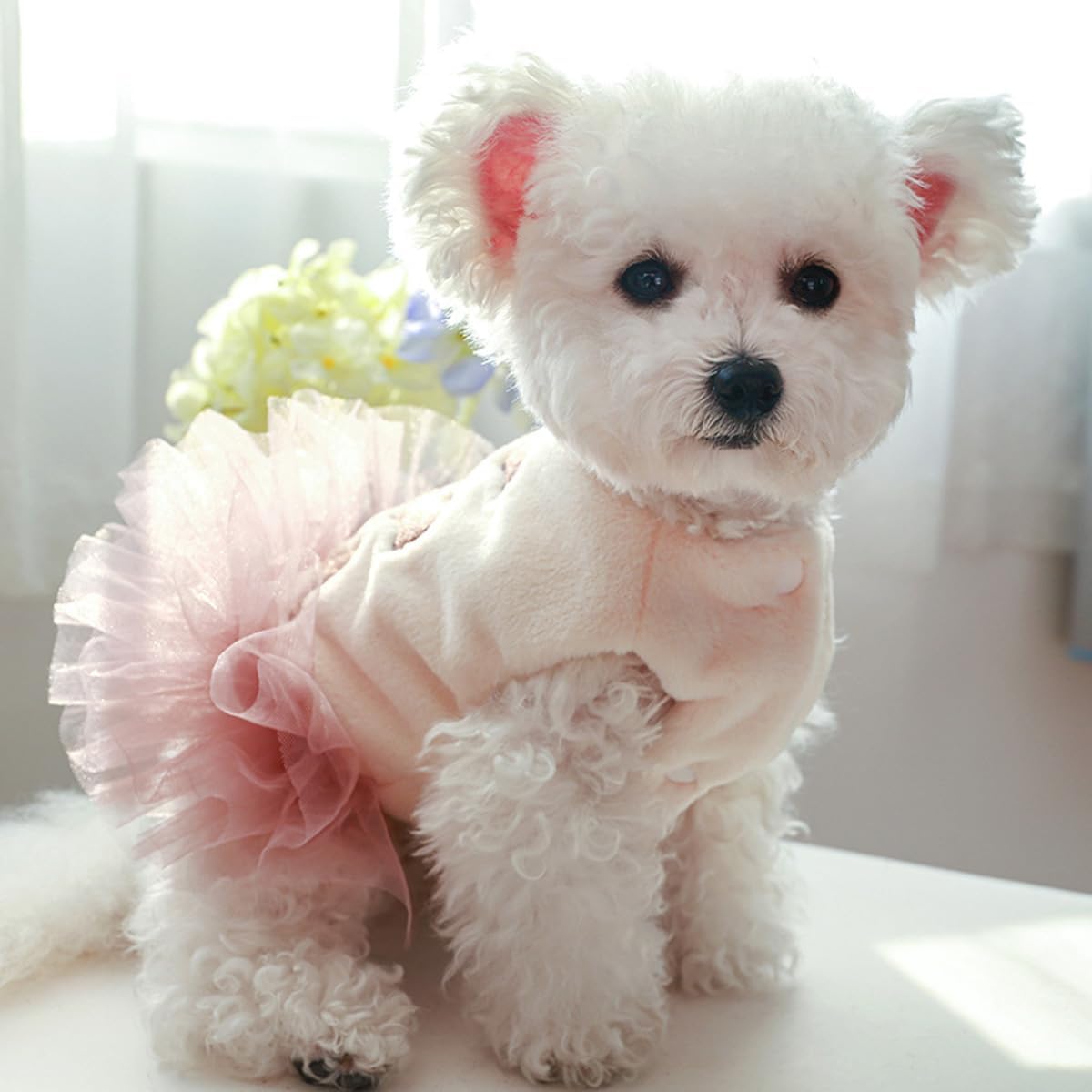 Abrigo de invierno para perro, chaqueta acolchada para perro, camisas para perro, ropa impresa para mascotas, chalecos de falda de algodón en clima