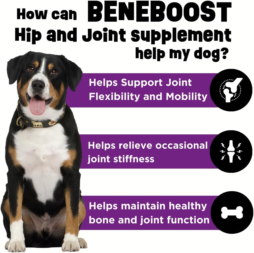 Dinovite BeneBoost – Cubrealimentos líquidos para caderas y articulaciones para perros, suplemento de glucosamina, decoración de comida de movilidad