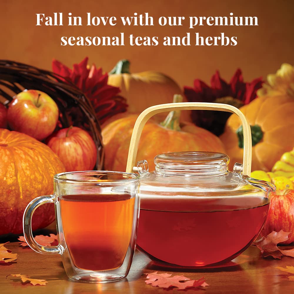 The Republic of Tea Tés de calabaza de otoño de edición limitada – Paquete de té de calabaza y calabaza dorada – 50 y 36 bolsas de té