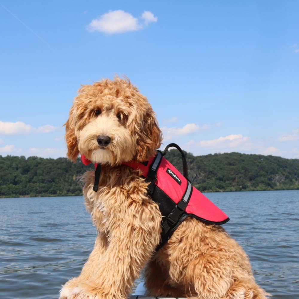 ZippyPaws Chaleco salvavidas para perros y cachorros, chaleco salvavidas para entrenamiento de natación para perros pequeños, medianos y grandes,