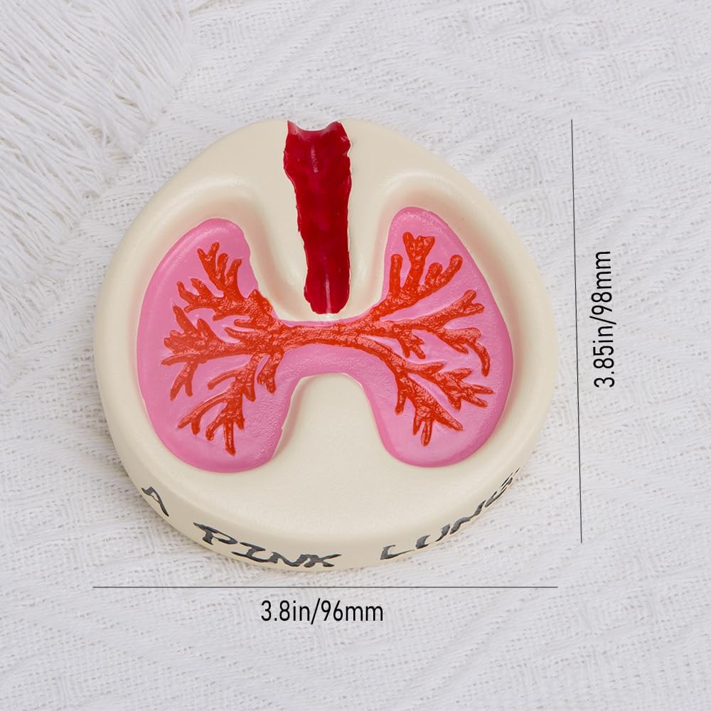 ZORZA Cenicero creativo con forma de pulmón de resina, divertido cenicero para decoración de mesa del hogar, regalo único para hombres y mujeres