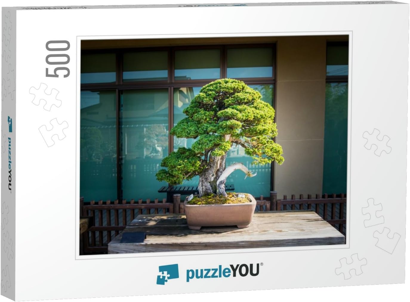 Árbol bonsái japonés en Omiya Bonsai Village at Saitama – Rompecabezas de 500 piezas