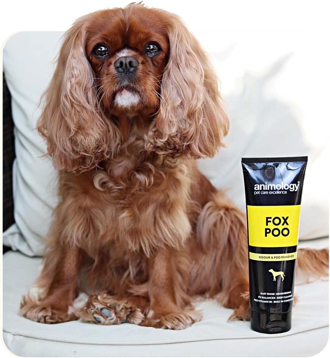 Animology Champú Dog Fox Poo 8.5 fl oz