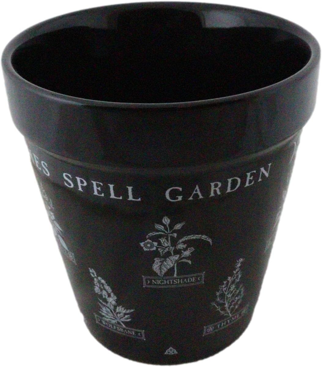 Ebros Gift Wicca Witchcraft – Maceta gótica de cerámica negra mágica, maceta floral de alquimia oculta, maceta de alquimia, pulgar, verde,