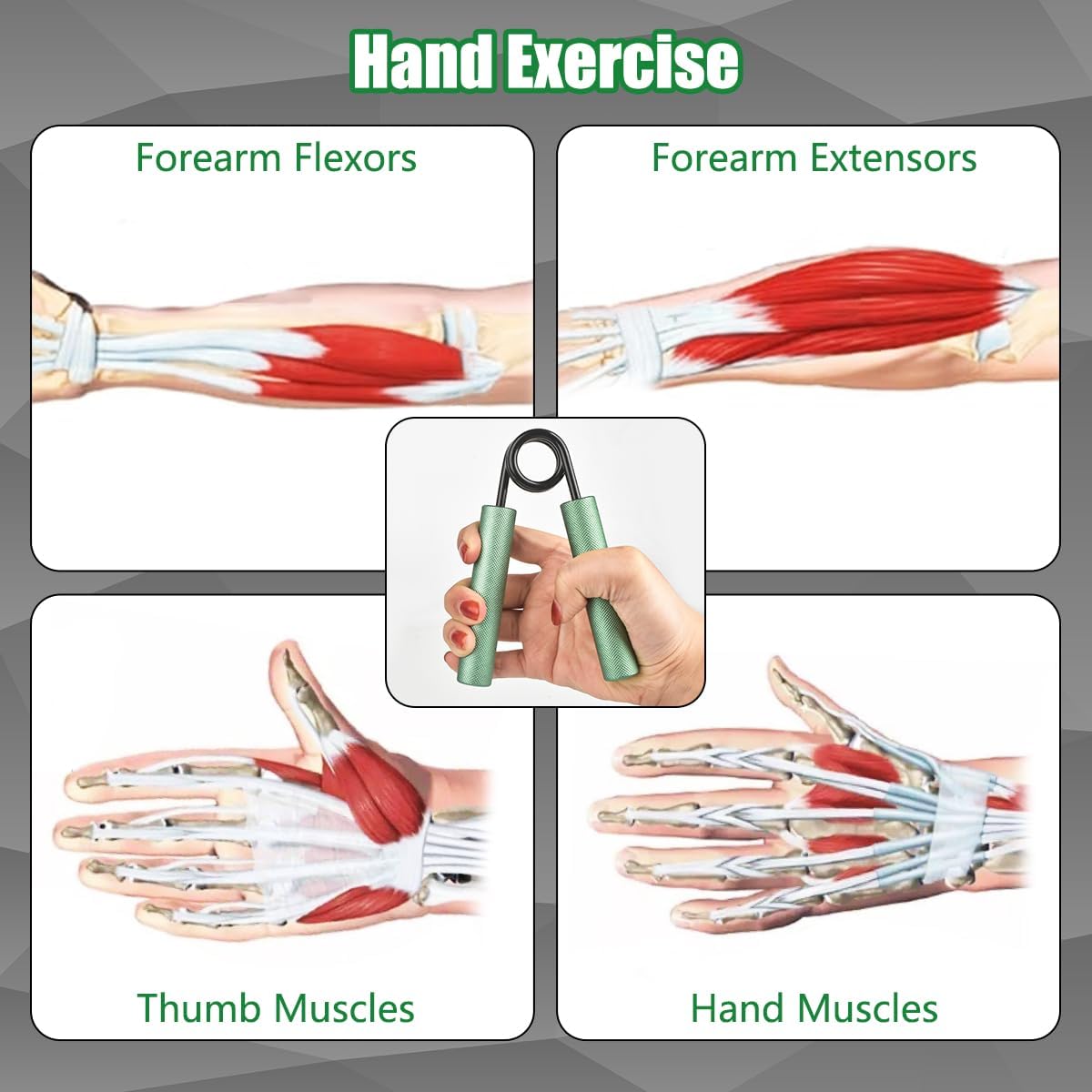 CRAZYBELLY Paquete de 5 fortalecedores de agarre de mano para entrenamiento de fuerza 50100150200250 libras para fortalecer el ejercitador de agarre