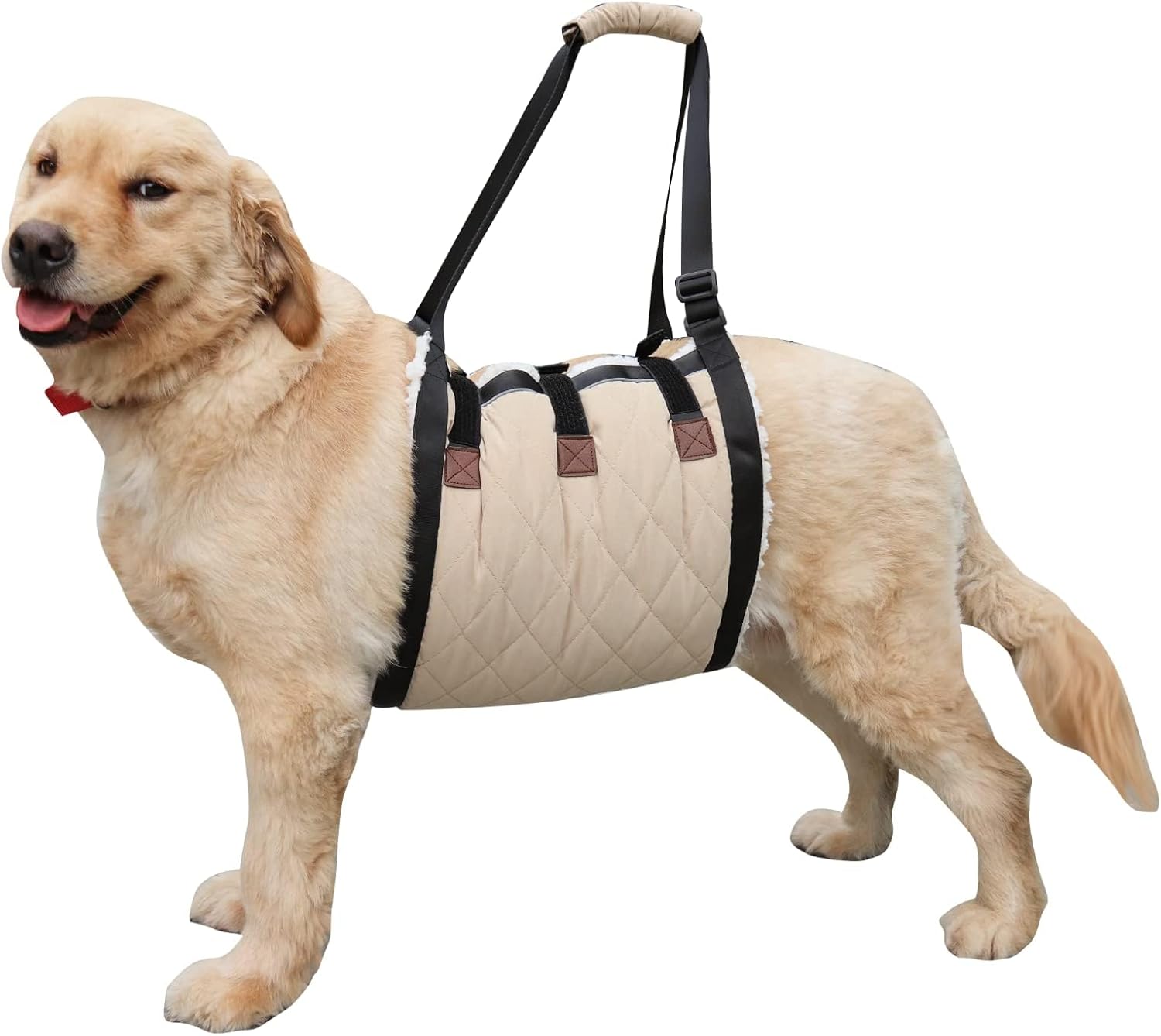 Afuwarm Arnés de elevación para perros mayores con asa para ayudar a los caninos ancianos a discapacitados, para perros mayores, rodillera delantera