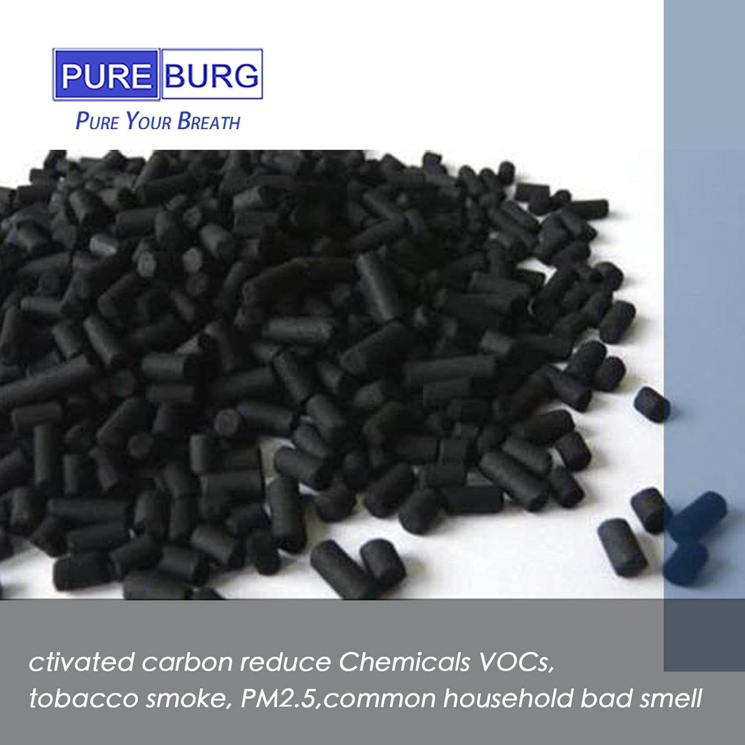 PUREBURG PHZF-21 Filtros de repuesto compatibles con el purificador de aire Brondell Horizon O2+ P200, paquete de 2 unidades H13 HEPA de filtración