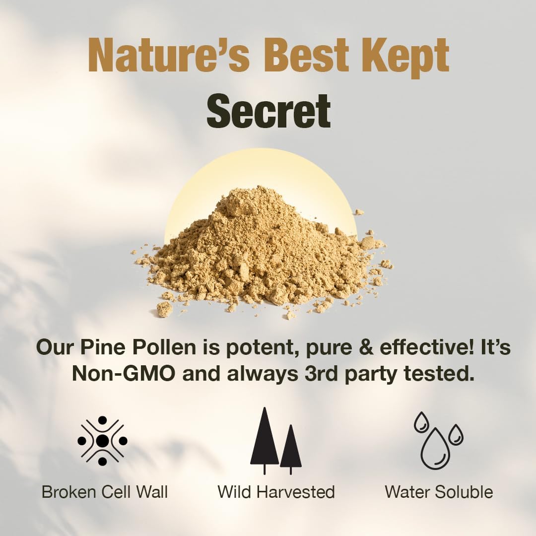 Samsara Herbs Polvo de polen de pino cosechado silvestre – 99% de pared celular agrietada (8 oz227 g) que apoya la energía saludable y la longevidad