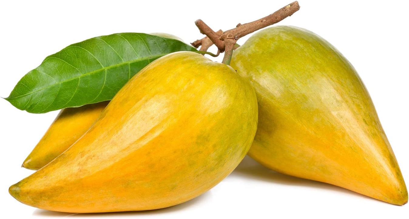 Polvo de lúcuma, 18 libras, crudo, 100% puro, paleo, ceto, vegano, superalimento peruano, a granel, ideal para jugos, bebidas y batidos, rico en