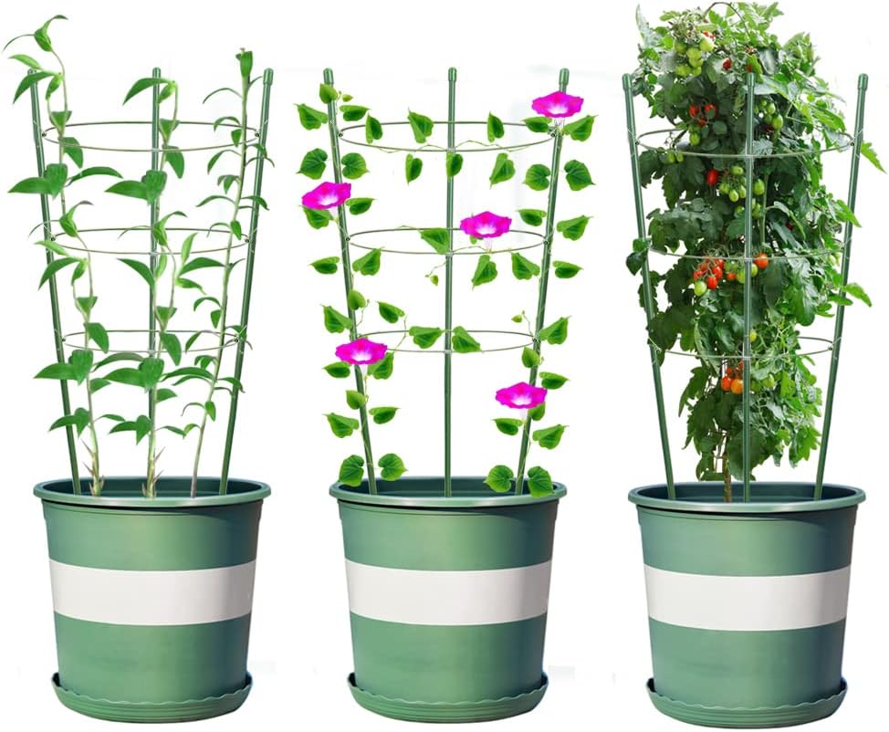 Alliico Jaulas de soporte para plantas trepadoras, jaula de tomate con estacas de soporte y anillos de soporte estables, paquete de 3 con 12 clips