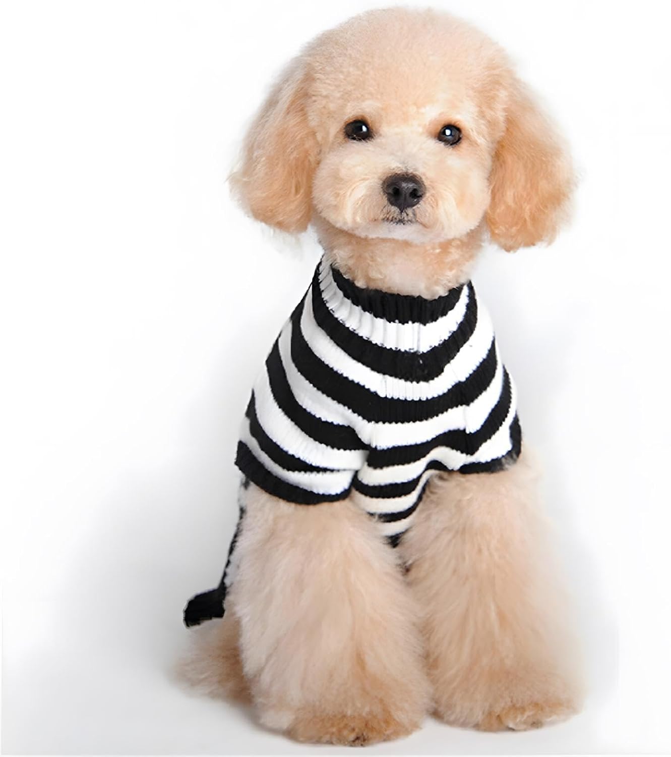 NACOCO Suéteres para mascotas, suéter de esqueleto, ropa para perros y gatos, ropa para mascotas, suéteres para perros pequeños (XS)