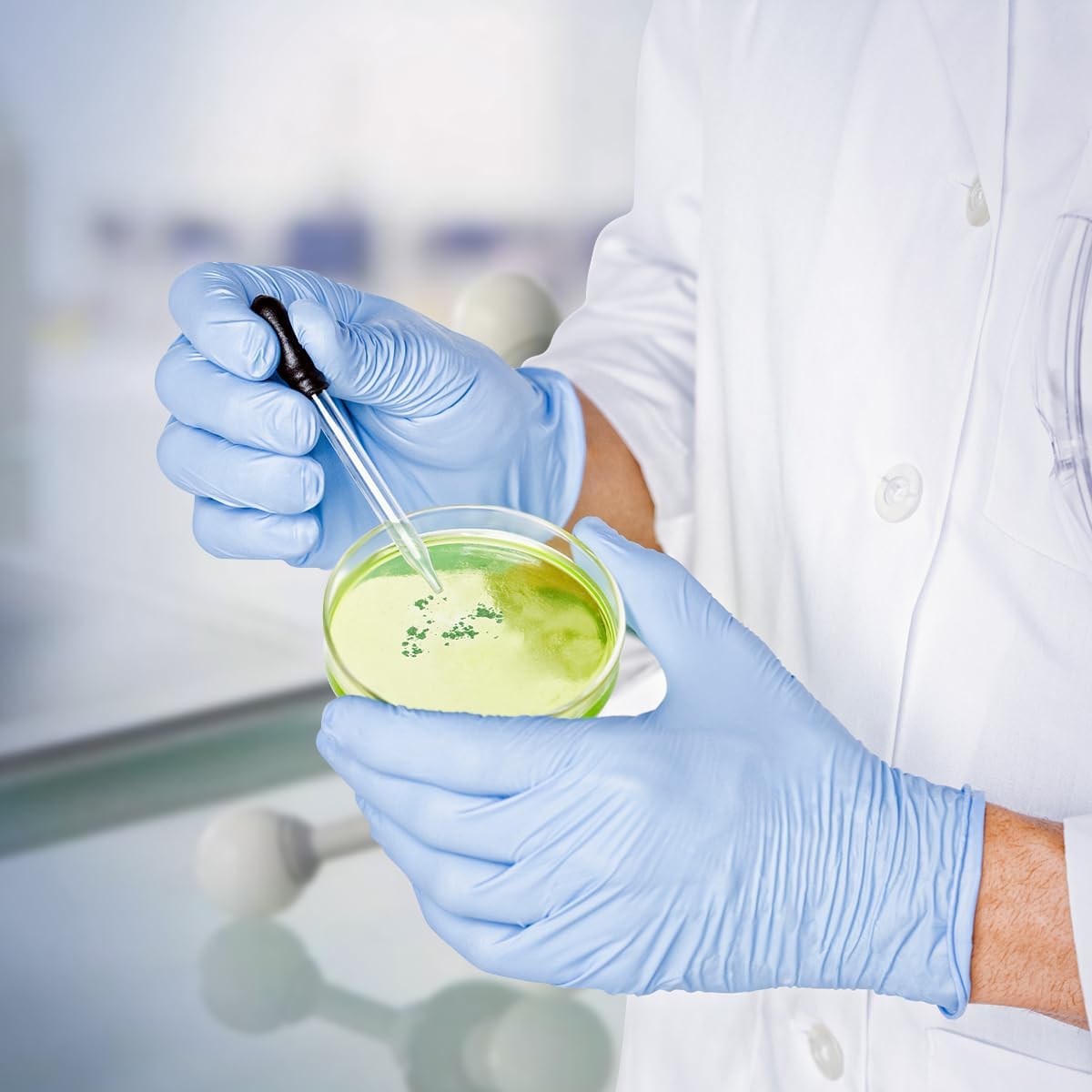 Totority Pipette – Juego de platos de Petri de plástico de 2.756in con tapa para laboratorio, estudio de experimentos, plato redondo Petri