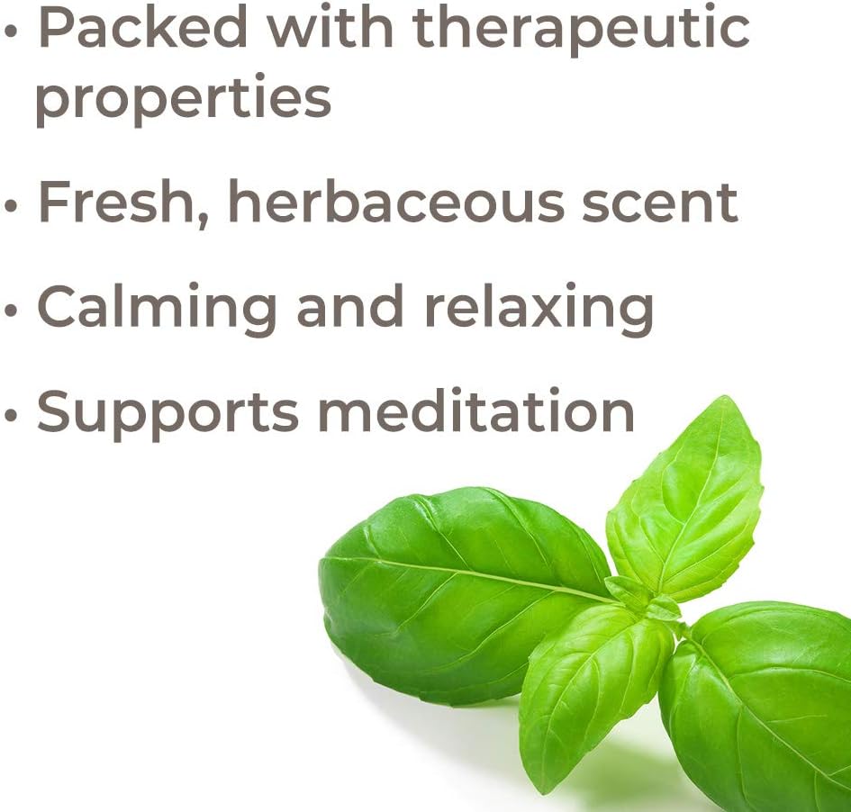 Plant Therapy Aceite esencial de albahaca Linalool 0.3 fl oz (13 oz) 100% puro, sin diluir, grado terapéutico