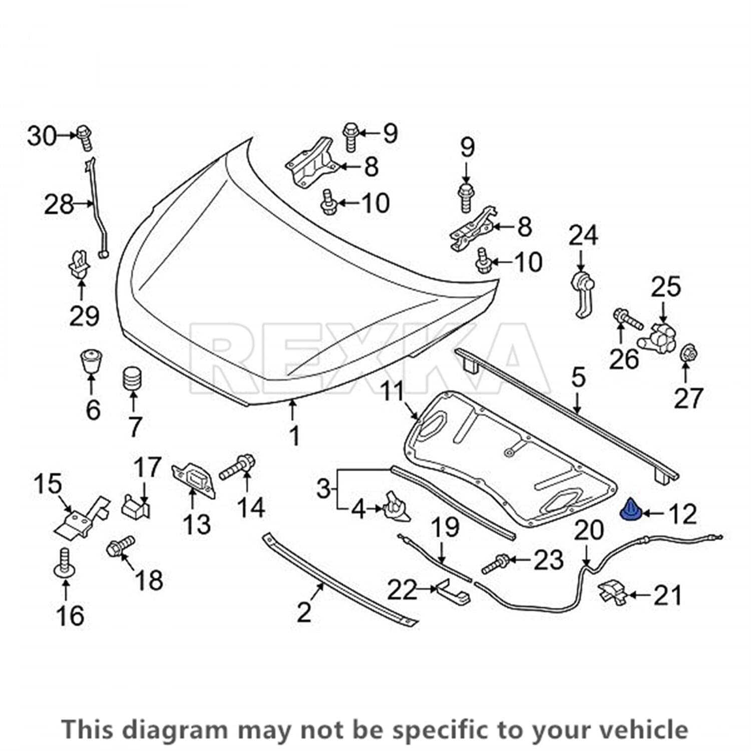 Rexka Clips de retención de aislamiento de capó para Hyundai Kia 81126-37010 Accent Azera Elantra Santa Fe Sonata Tucson Amanti Borrego Cadenza