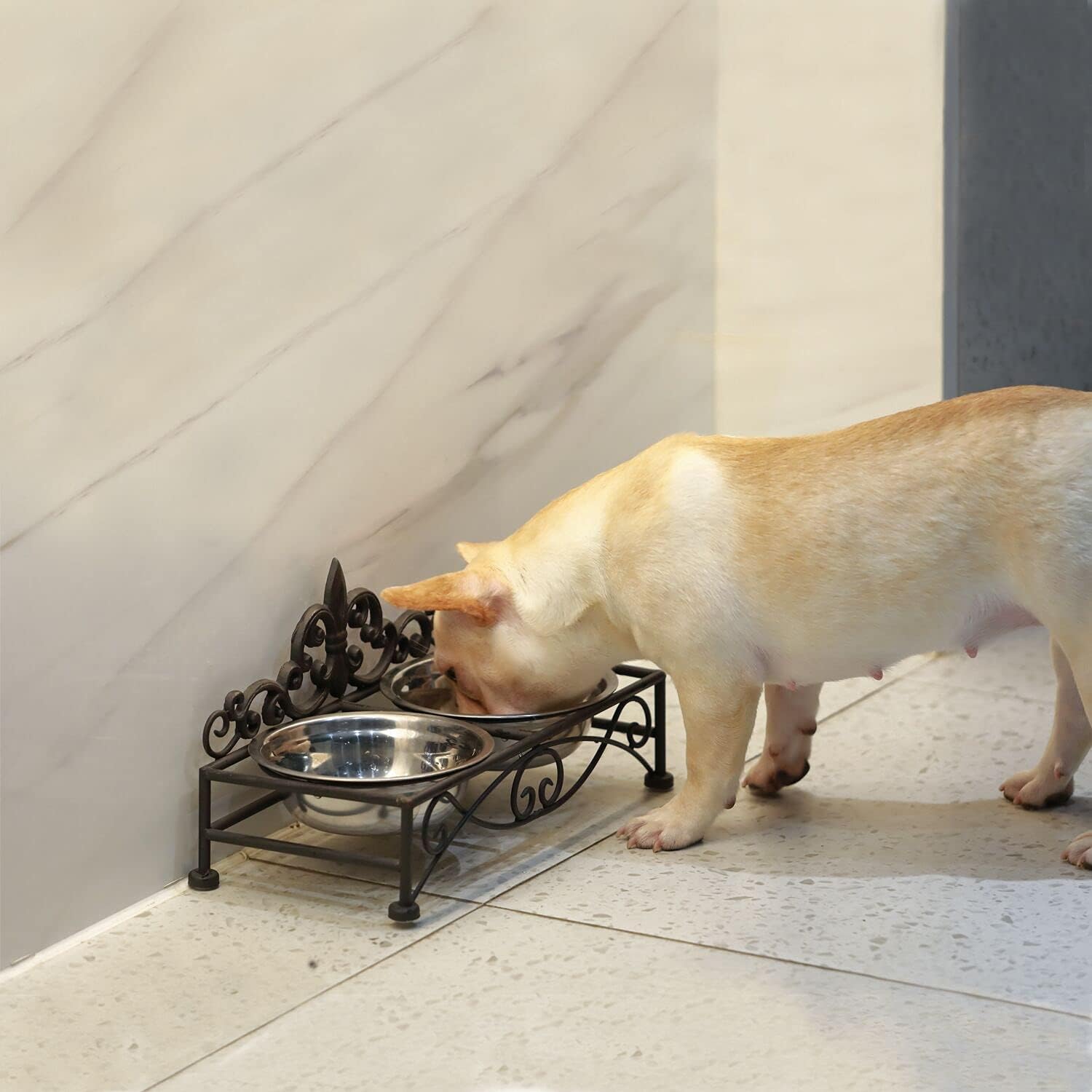 Lechesis Fleur De Lis – Comedero para mascotas para perros pequeños y gatos de acero inoxidable con soporte de hierro (negro)