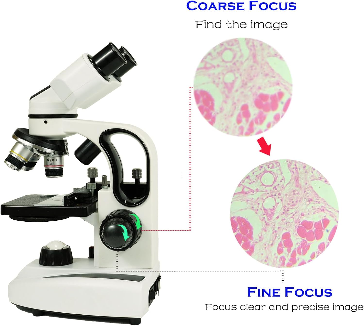 Sedumic Microscopios biológicos binoculares para laboratorio escolar, educación en el hogar, microscopios 100X-2000X para niños, estudiantes,