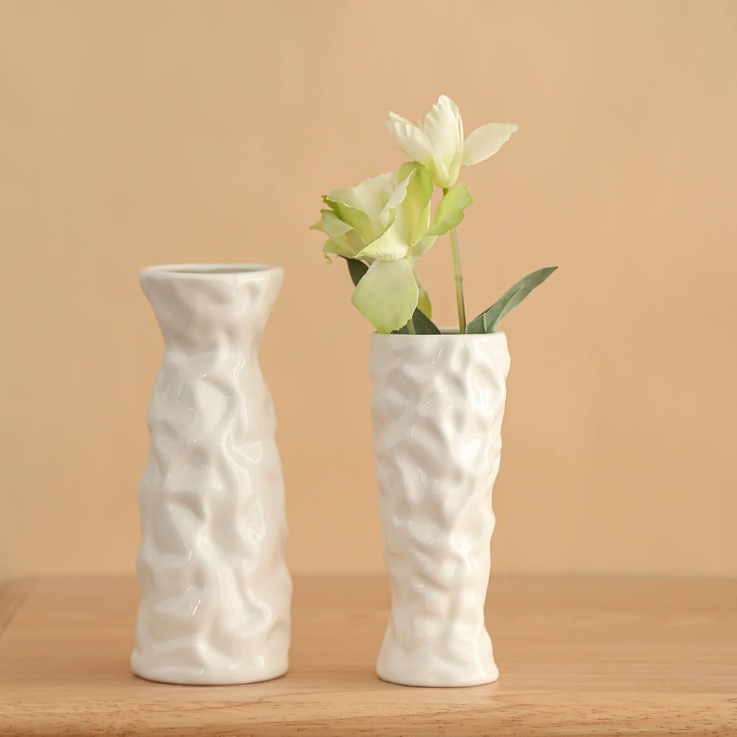 Florero de cerámica blanca  Juego de 2 jarrones de papel  Jarrones decorativos bohemios modernos para flores y hierba de pampas  Sala de estar,