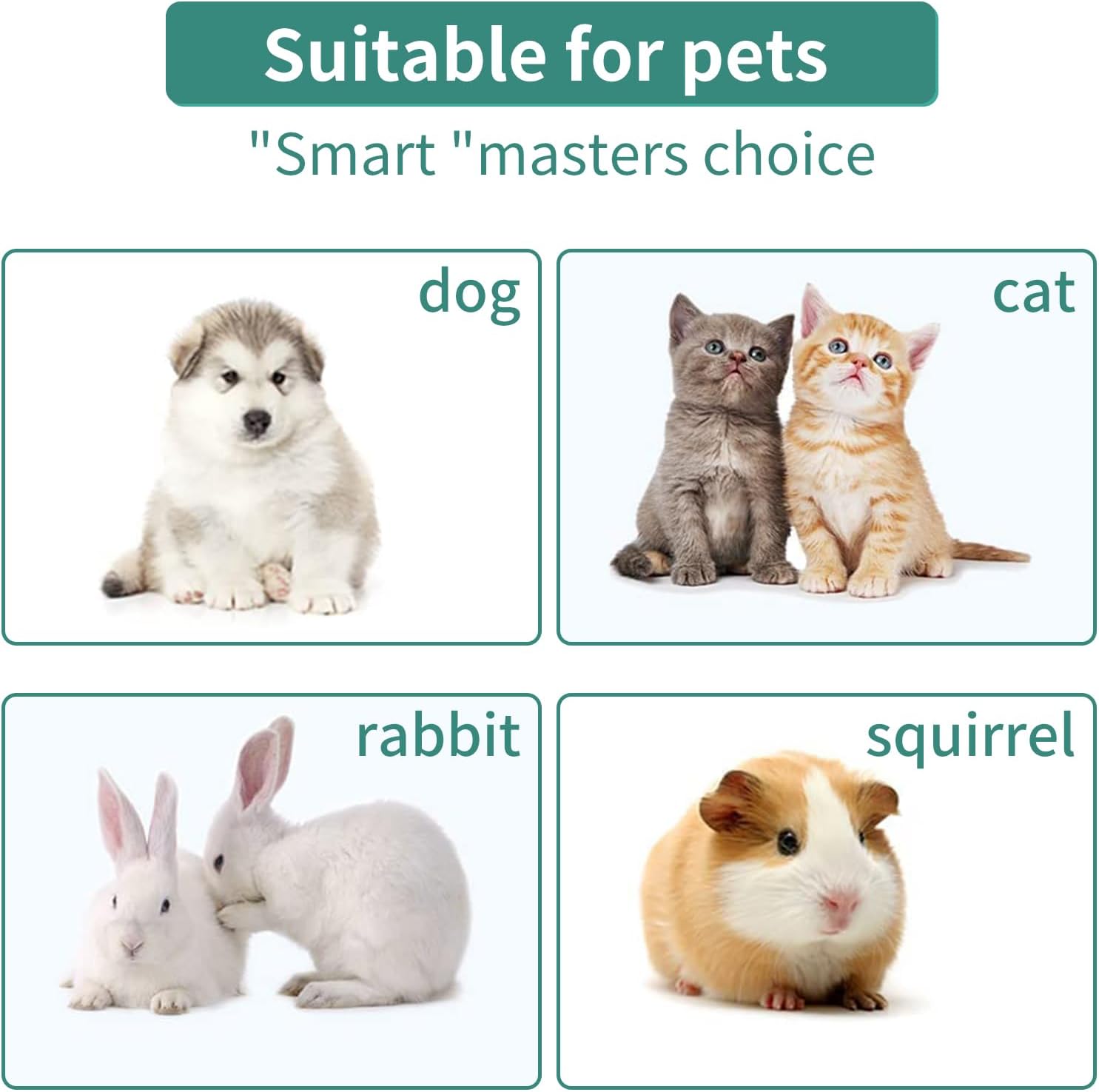 Cuenco para cachorros, comedero de leche de sílice para mascotas, alimentación ajustable en altura para bebés, mascotas, cachorros, gatitos, gatos,