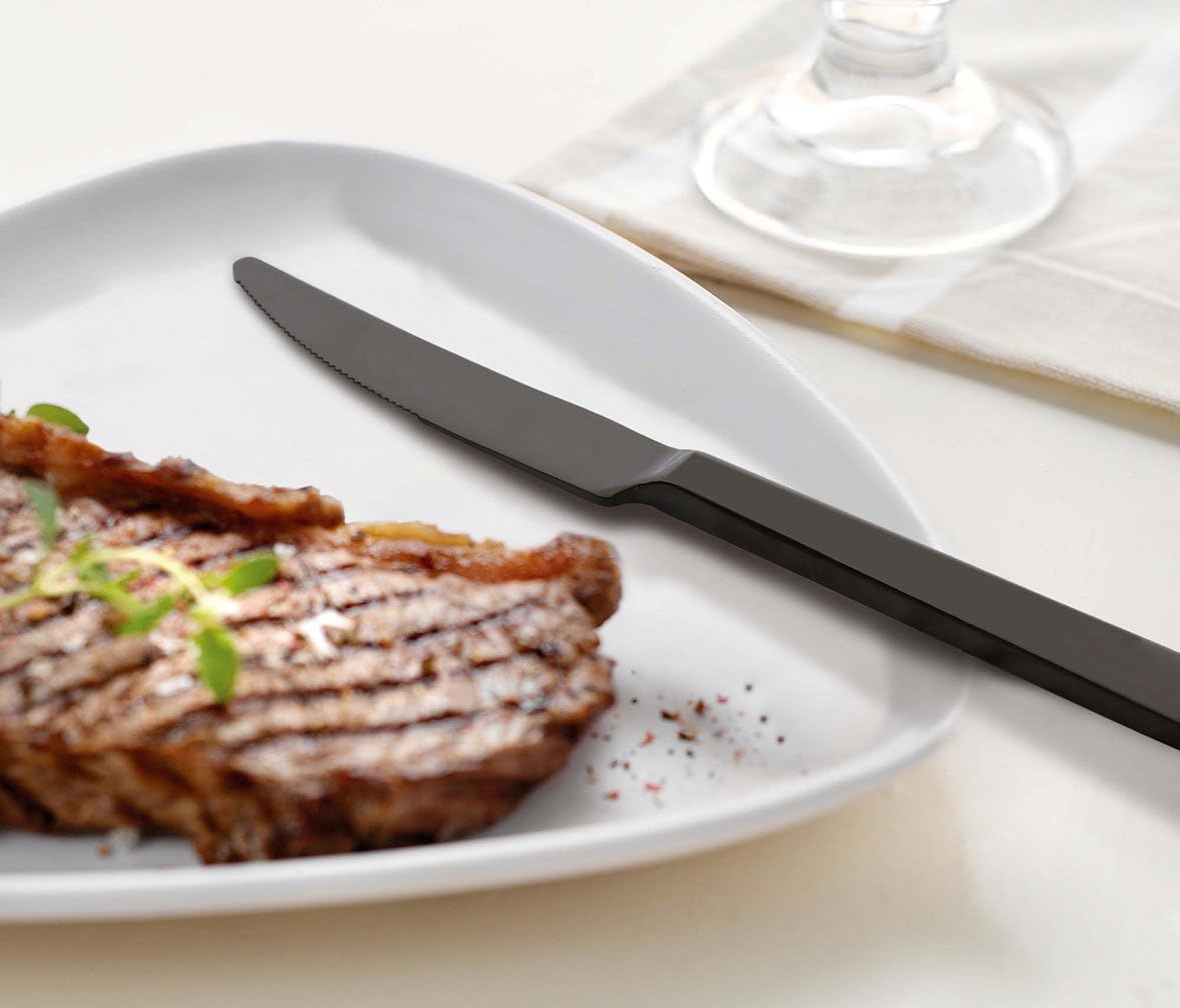 Juego de cuchillos para carne, 6 piezas, acero inoxidable 180, resistentes, 9 pulgadas, servicio para 6 cubiertos, utensilios de mesa, aptos para