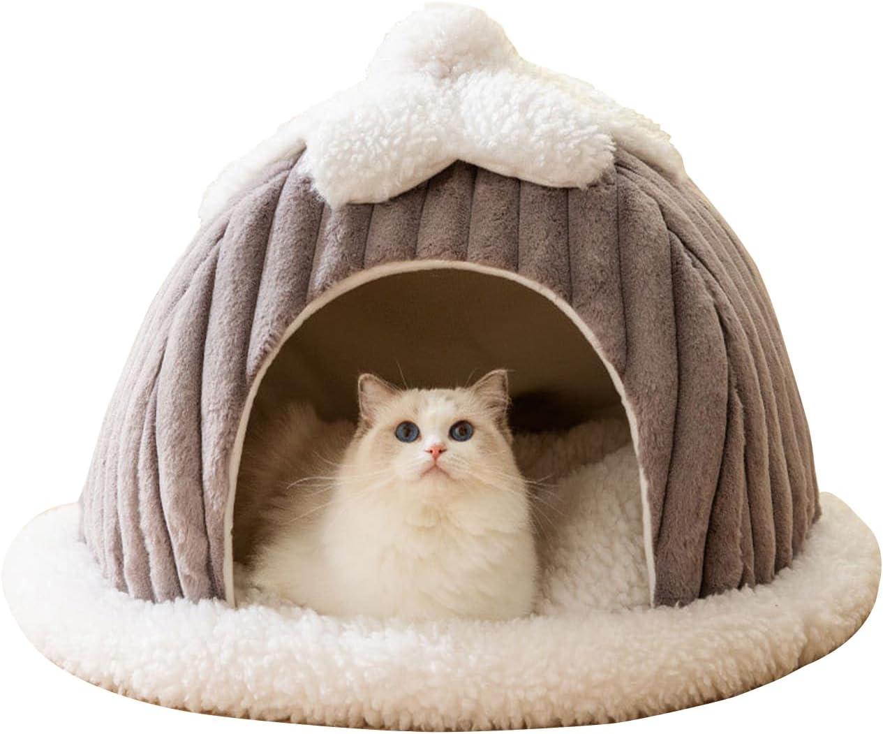Cama tipo cueva para gatos, bonita casa de gato de dibujos animados, tienda de campaña pequeña con almohada extraíble lavable, cama cálida para