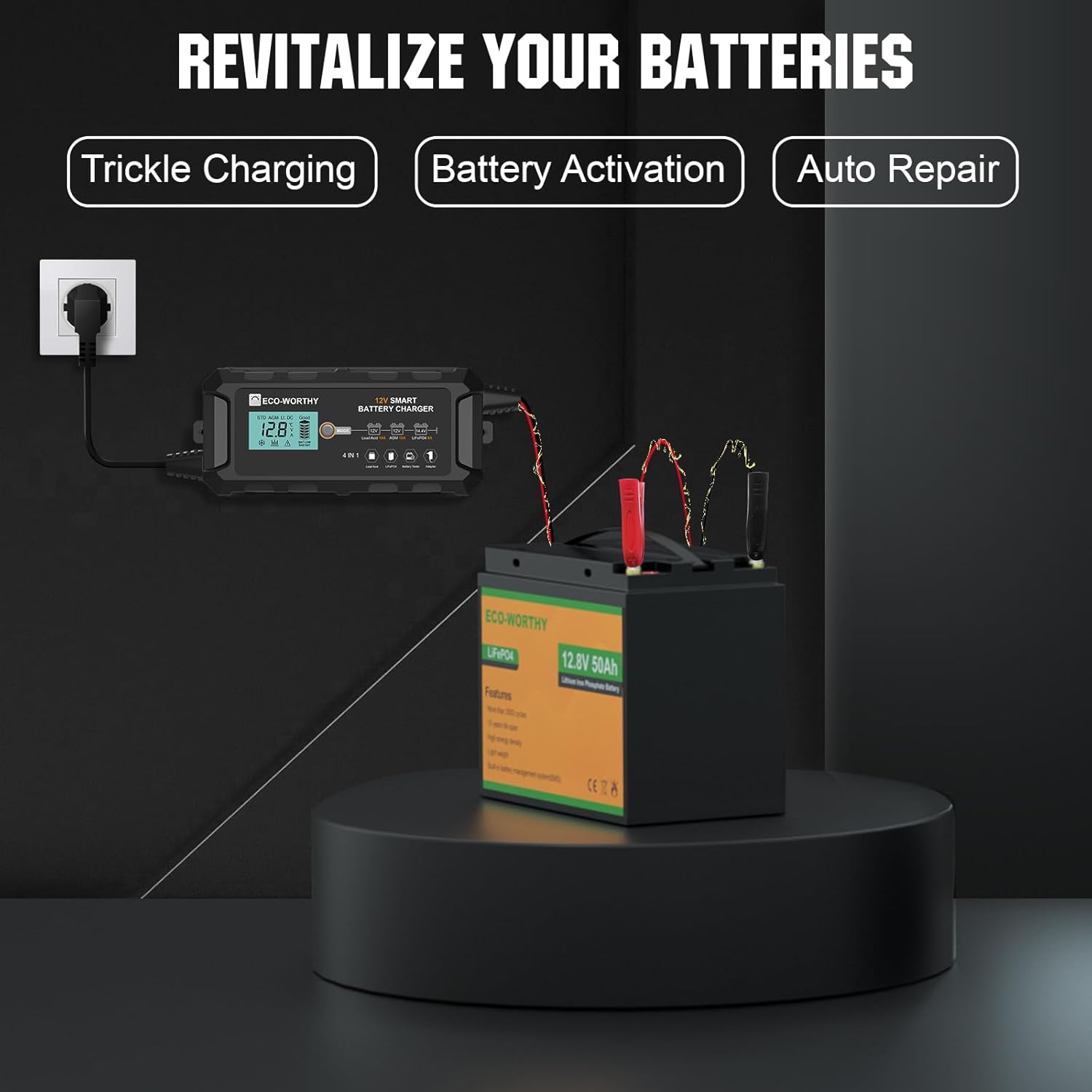 ECO-WORTHY 10-Amp 12V Smart Fully Automatic Battery Charger Maintainer Trickle Charger for Lead Acid LiFePO4 Battery Car Motorcycle Marine