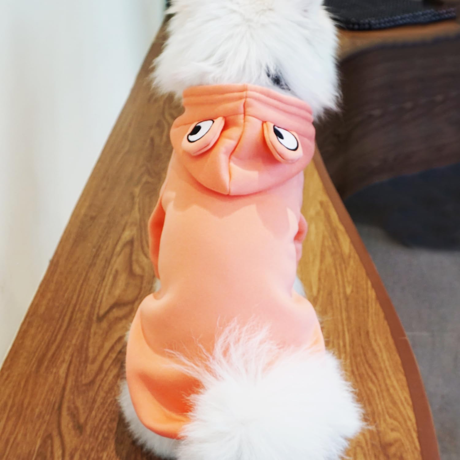 Suéter para perro, sudadera con capucha para perro, suéter de gato, disfraz de gato, disfraz de rana con forma de rana, ropa de cosplay, abrigo,