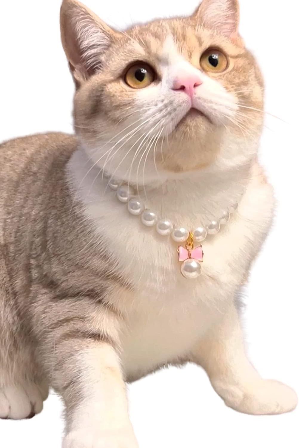 QWINEE Elegante collar de perlas para perro y gato con bonito colgante de pajarita para gato, cachorro, pequeño, mediano, grande, collar de boda,
