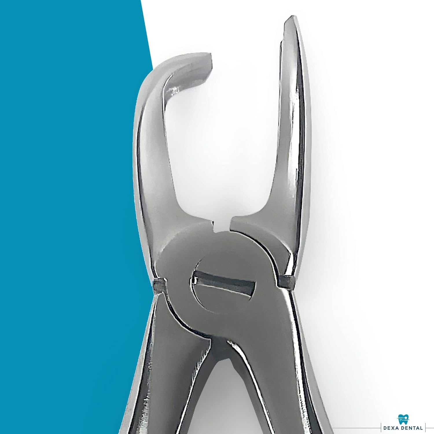 Tártaro Forcep Calculus Remover Raspador de dientes, Pinzas removedor de sarro, perro veterinario dental PET Canino A+, Instrumento de calidad 4.5