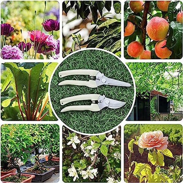Tijeras de jardín, tijeras de podar, herramientas de jardinería, tijeras de flores de jardín, recolección de bonsáis y frutas, tijeras de recorte
