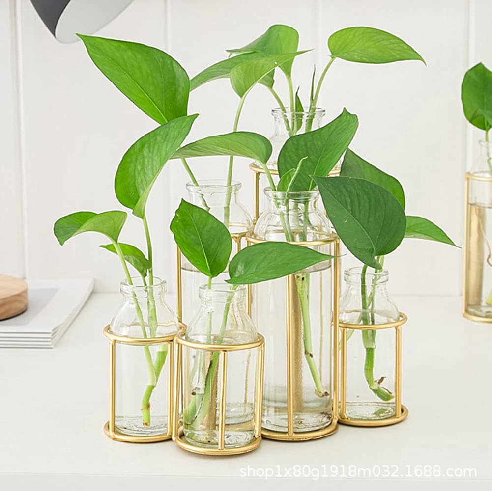 Radefasun Jarrones de flores con 6 botellas de cristal transparente con soporte de metal, estación de propagación de plantas, juego de soporte para