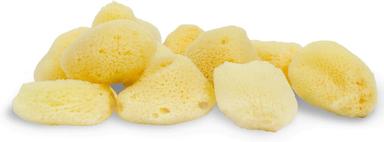 Esponja de seda suave de mar, para uso cosmético, arte, limpieza facial, 12 unidades, 1-1.5 pulgadas