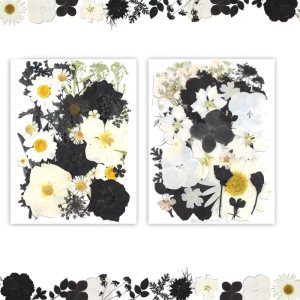 Buzidao Flores secas prensadas, más de 60 piezas de flores prensadas naturales para resina, arte de uñas, álbumes de recortes, velas, tarjeta de Buzidao Flores secas prensadas, más de 60 piezas de flores prensadas naturales para resina, arte de uñas, álbumes de recortes, velas, tarjeta de