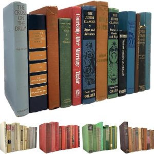 Juego de 12 libros antiguos de tapa dura, colores mezclados, libros de tapa dura real para decoración del hogar, paquete a granel de tapas duras Juego de 12 libros antiguos de tapa dura, colores mezclados, libros de tapa dura real para decoración del hogar, paquete a granel de tapas duras