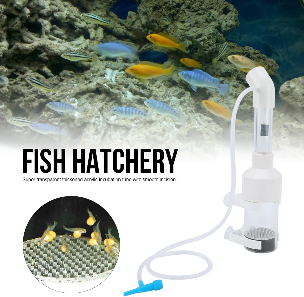 AQ50025 Acrílico 9.8 in x 1.969 in Corto Acuario Cíclidos Vaso Incubadora Peces Incubadora Huevos En lugar de la boca BroodingSuministros de