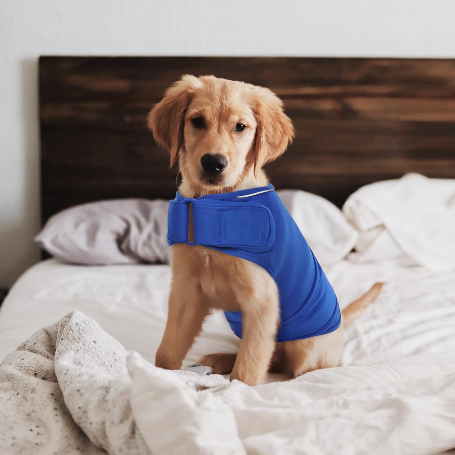 ROZKITCH Chaleco de ansiedad para perro, chaqueta cómoda para ansiedad para perros con fuegos artificiales, viajes, visitas al veterinario, camisa
