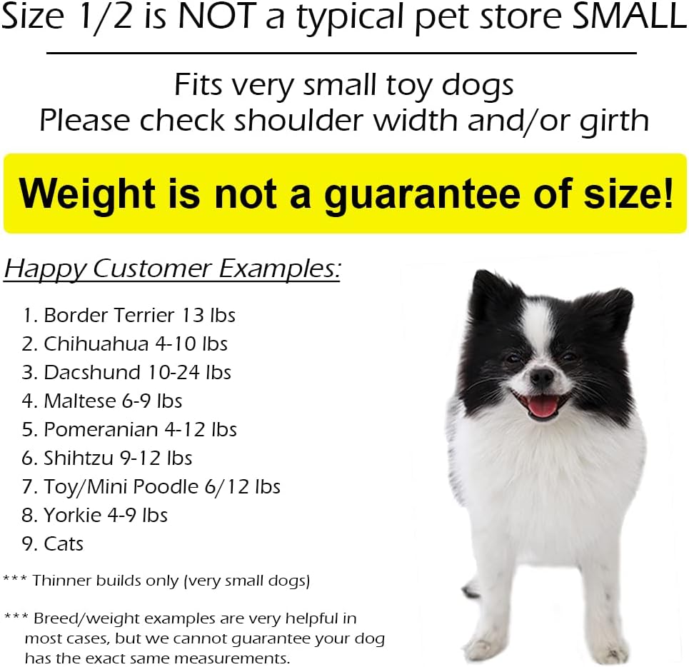 Pandaloon Disfraz para mascotas, como se ve en Shark Tank, patentado, divertido disfraz con brazos para perros y gatos pequeños y medianos (abeja,