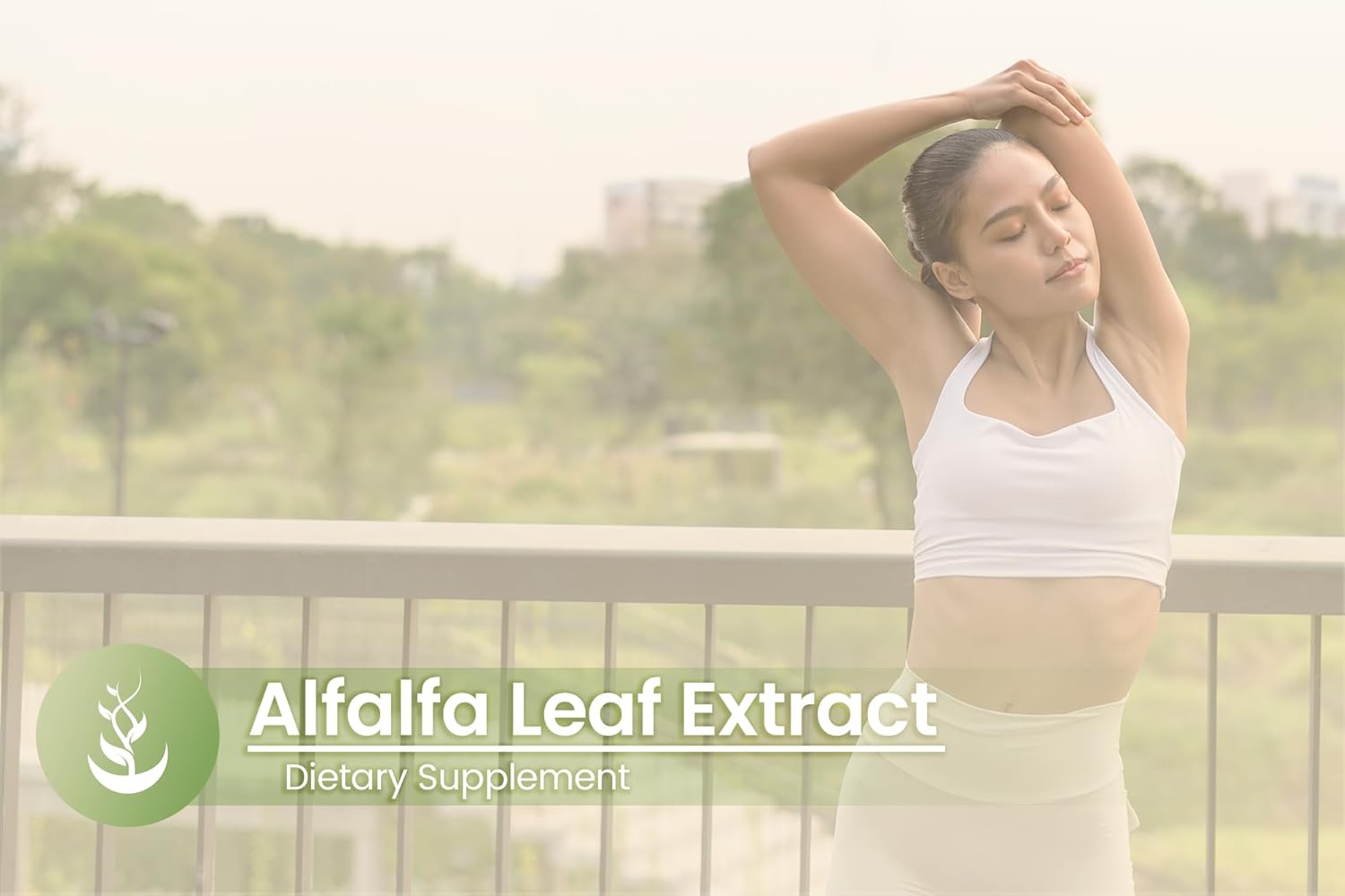 Pure Original Ingredients Hoja de alfalfa, (100 cápsulas) siempre pura, sin aditivos ni rellenos, verificada por laboratorio
