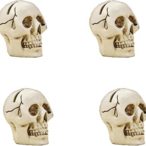4 piezas de lindo clip para tarjetas en la parte superior de la mesa, cráneo de resina, modelo de réplica de calavera humana realista para 4 piezas de lindo clip para tarjetas en la parte superior de la mesa, cráneo de resina, modelo de réplica de calavera humana realista para