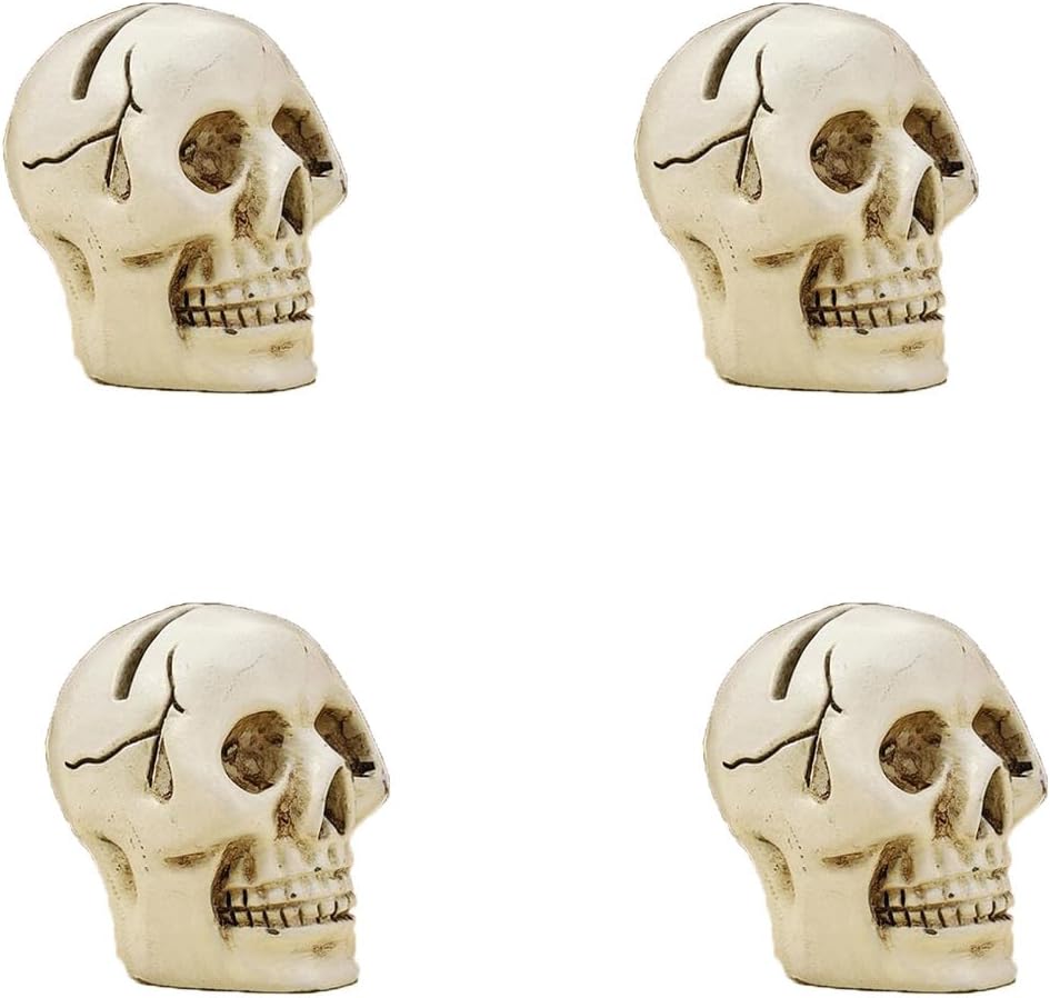 4 piezas de lindo clip para tarjetas en la parte superior de la mesa, cráneo de resina, modelo de réplica de calavera humana realista para