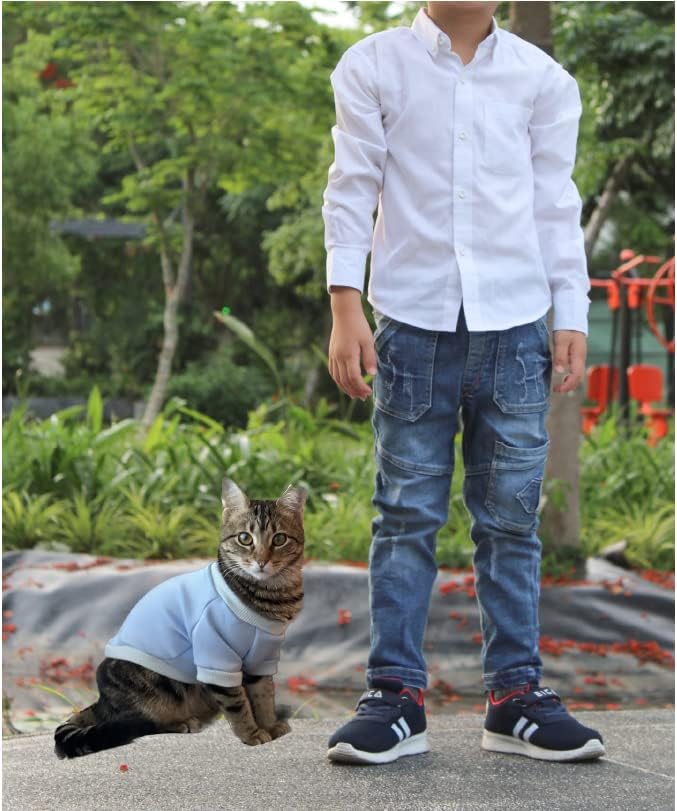 Suéter de mono para gatos, gatitos, gatos sin pelo, perros pequeños, cachorros, ropa de gato para gatos de interior, ropa de gato, accesorios lindos